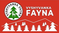 Заявка на торговельну марку № m202312574: vyshyvanka fayna
