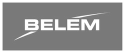 Заявка на торговельну марку № m202413244: belem