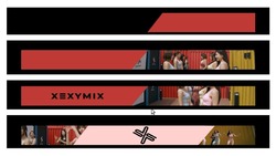 Заявка на торговельну марку № m201924765: xexymix; х