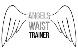 Заявка на торговельну марку № m201914452: angels waist trainer
