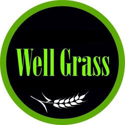 Свідоцтво торговельну марку № 317193 (заявка m202117226): well grass