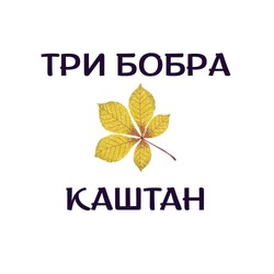 Заявка на торговельну марку № m202520076: три бобра каштан