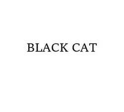 Заявка на торговельну марку № m202118088: black cat