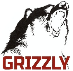 Свідоцтво торговельну марку № 290716 (заявка m201905881): grizzly