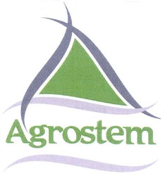 Свідоцтво торговельну марку № 160926 (заявка m201115056): agrostem