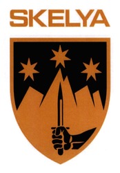 Заявка на торговельну марку № m202603629: skelya