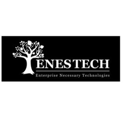 Свідоцтво торговельну марку № 228539 (заявка m201701293): enestech; enterprise necessary technologies