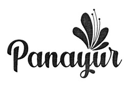 Свідоцтво торговельну марку № 305597 (заявка m201926733): panayur