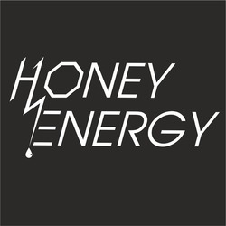 Свідоцтво торговельну марку № 309949 (заявка m202013083): honey energy