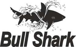 Заявка на торговельну марку № m202309889: bull shark