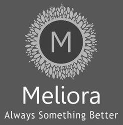 Заявка на торговельну марку № m202111956: always something better; meliora; м