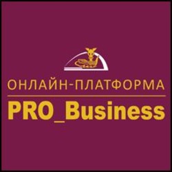 Свідоцтво торговельну марку № 344795 (заявка m202203749): онлайн платформа; онлайн-платформа; pro business; pro_business