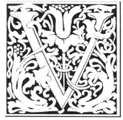 Свідоцтво торговельну марку № 133814 (заявка m200916447): v