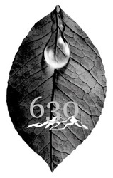 Заявка на торговельну марку № m202600547: 630