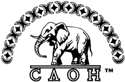 Заявка на торговельну марку № 2002108752: слон