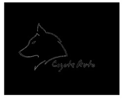 Заявка на торговельну марку № m202027505: coyote auto