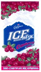 Свідоцтво торговельну марку № 155108 (заявка m201107975): пиво славутич мікс журавлина; ice beer mix cranberry з соком