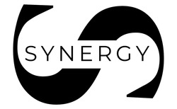 Заявка на торговельну марку № m202506953: synergy