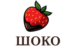 Заявка на торговельну марку № m202606849: шоко