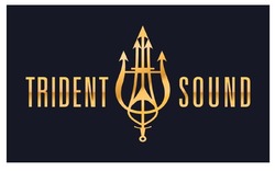 Свідоцтво торговельну марку № 310160 (заявка m201928051): trident sound