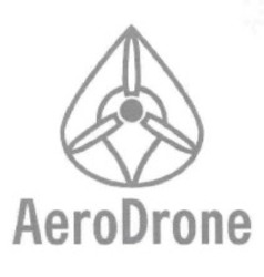 Свідоцтво торговельну марку № 284620 (заявка m201817180): aerodrone; aero drone