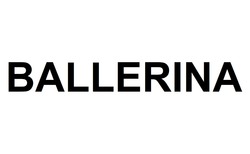 Заявка на торговельну марку № m202600336