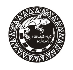 Свідоцтво торговельну марку № 337892 (заявка m202117772): iguana kava