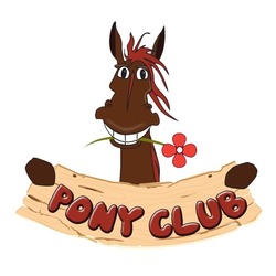 Свідоцтво торговельну марку № 318784 (заявка m202019920): pony club