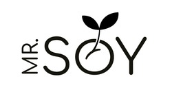 Заявка на торговельну марку № m202129070: mr.soy