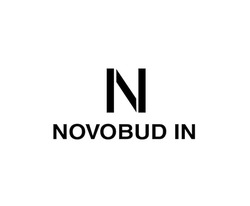 Заявка на торговельну марку № m202314384: novobud in
