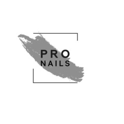 Заявка на торговельну марку № m202317196: pro nails