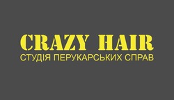 Заявка на торговельну марку № m202417339: студія перукарських справ; crazy hair