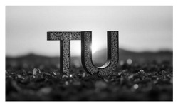 Заявка на торговельну марку № m202600763: tu