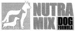 Свідоцтво торговельну марку № 318638 (заявка m202014084): nutra mix; міх; dog formula