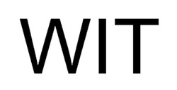 Заявка на торговельну марку № m202515127: wit