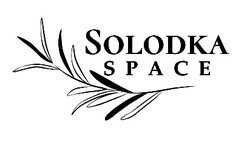 Заявка на торговельну марку № m202508363: solodka space