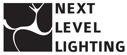 Свідоцтво торговельну марку № 306920 (заявка m201923458): next level lighting