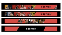 Заявка на торговельну марку № m201924784: xexymix; х