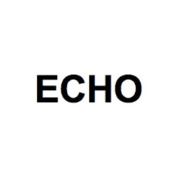 Свідоцтво торговельну марку № 306019 (заявка m201822141): echo; есно