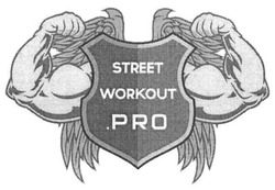 Свідоцтво торговельну марку № 194594 (заявка m201315066): street; workout; pro