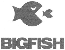 Свідоцтво торговельну марку № 145867 (заявка m201013896): bigfish