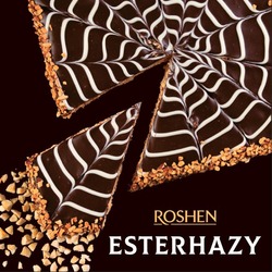 Заявка на торговельну марку № m202514507: roshen esterhazy