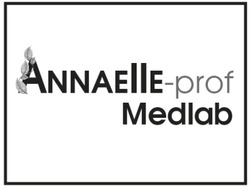 Заявка на торговельну марку № m201515038: annaelle-prof medlab