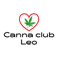 Заявка на торговельну марку № m202406524: canna club leo