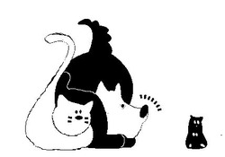 Заявка на торговельну марку № m202503089