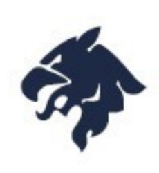 Заявка на торговельну марку № m202524710