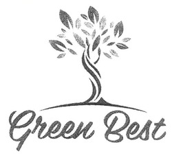 Заявка на торговельну марку № m201410620: green best