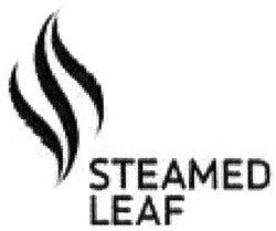 Свідоцтво торговельну марку № 312579 (заявка m201933128): steamed leaf