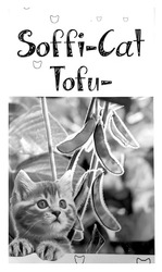 Заявка на торговельну марку № m202600828: soffi cat tofu; soffi-cat tofu