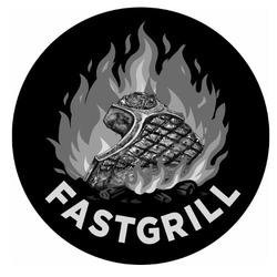 Заявка на торговельну марку № m202509508: fastgrill